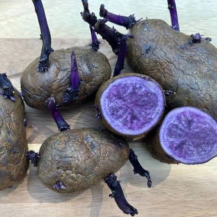 All Blue Potato: The Striking Heirloom Spud That’s Way More Than Just a Pretty Color.