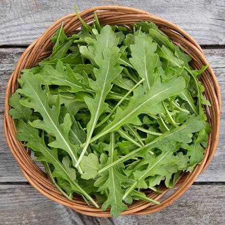 Arugula: The Ultimate Guide to America’s Favorite Peppery Green (Health Benefits, Recipes, Growing Tips & More).